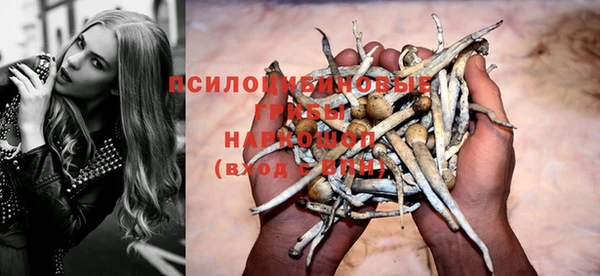 амф Алзамай